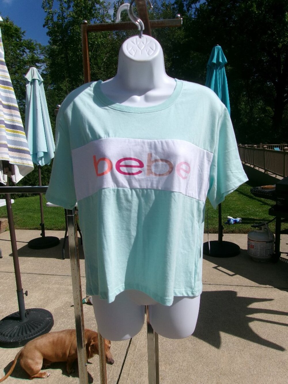 NWT BEBE AQUA LOGO TEE XL